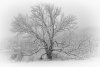 FirstSnow-5906_Edit_1827