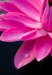 Water_Water-3530_Edit_1331