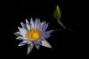 Water_Water-4149_Edit_1312