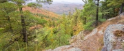 CatThomas-040065