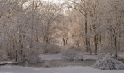 Feburary Snow