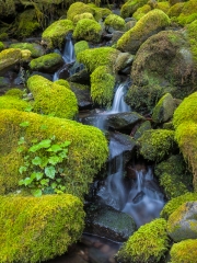 SolDuc_7175468