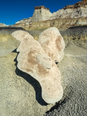 Bisti-9243872