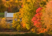 GuestFarm-236700.jpg