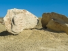Bisti-9243887
