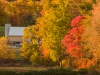 GuestFarm-236700.jpg