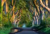 DarkHedges-4341