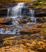 20201015_EFBacon_RickettsGlen_7125