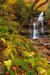 20201016_EFBacon_RickettsGlen_7284