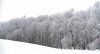 20210219_EFBacon_Snow_0062