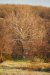 20210407_EFBacon_Warwick_40310