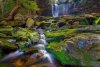 20210520_EFBacon_WV_40947