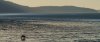 20210607_EFBacon_Alaska_41593