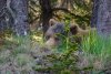 20210607_EFBacon_Alaska_41976