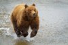 20210608_EFBacon_Alaska_42474_DxO_Edit_413_Edit_414