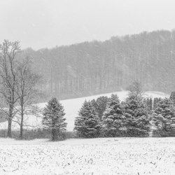 20220213_EFBacon_NantmealRd_39158