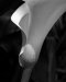 20220516_EFBacon_GoldenGate_39513