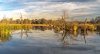 20221030_EFBacon_MarshlandsFall_41593