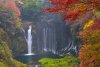 20221120_EFBacon_Shiraito_42360