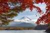 20221122_EFBacon_MtFuji_42831
