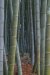 20221124_EFBacon_Kyoto_43086