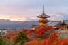 20221124_EFBacon_Kyoto_43165