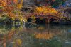 20221125_EFBacon_Daigoji_43374