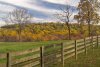 Fall scenes in Nantmeal