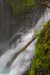 20230521_EFBacon_Washington_07090