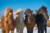 20240311_EFBacon_Vik_45963