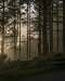 20240522_EFBacon_Oregon_07148
