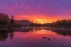 20241002_EFBacon_VT_08853_Edit_1736