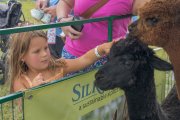 20250901_EFBacon_LudwigsHS_25_02343