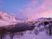 Reine-2167111