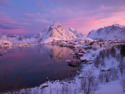Reine-2167117_Edit_216