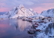 Reine-2167125