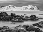 Reine-2167177_Edit_223 Reine-2167177_Edit_223