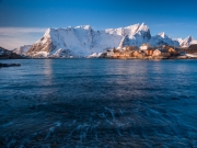 Salrisoy-2227571 Salrisoy-2227571