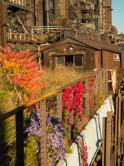 SteelStacks-264366
