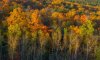 Adirondack fall colors across old granet mine tailings.in late a