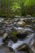 NewRiver-1355_Edit_4980