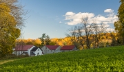 FallColor-304612-HDR.jpg