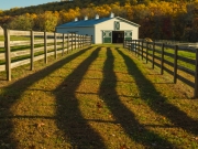 FallColor-304654.jpg
