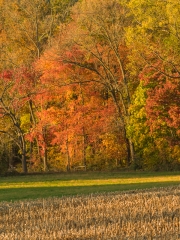 GuestFarm-236709.jpg