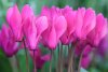 Longwood-1764_Edit_892