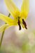 Spring08_0228