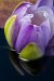 Water_Water-3447_Edit_1328