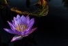 Water_Water-3489_Edit_1330