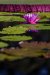 Water_Water-3707_Edit_1349