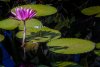 Water_Water-3756_Edit_1345